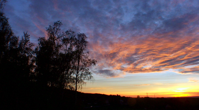 Sonnenuntergang am Birkenwäldchen